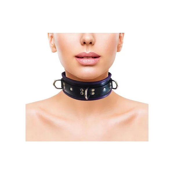 3 D-Ring Padded Leather Adjustable Collar - Black/Purple