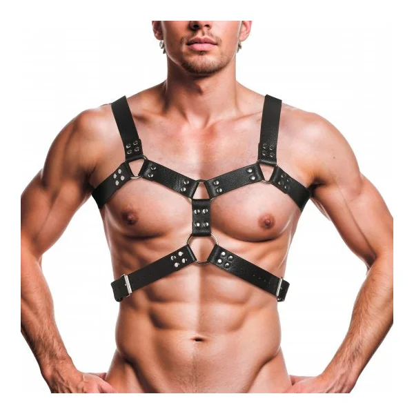6 O-Ring Chest Harness