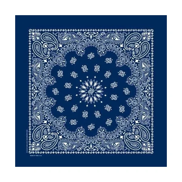 Bandanna Co. Paisley Navy 22” X 22”