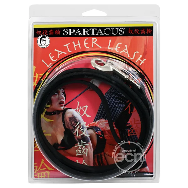 Black Leather Leash 4 Feet