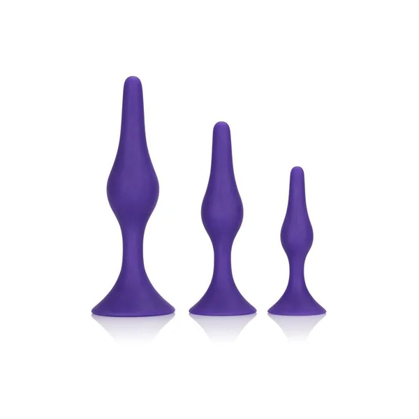 Booty Call Booty Trainer Kit Silicone Anal Plugs Purple 3 Assorted Sizes