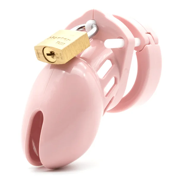 CB-6000S 2.5-inch Chastity Cage and Lock Sets