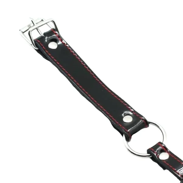 Drool Trainer Solid Rubber Ballgag