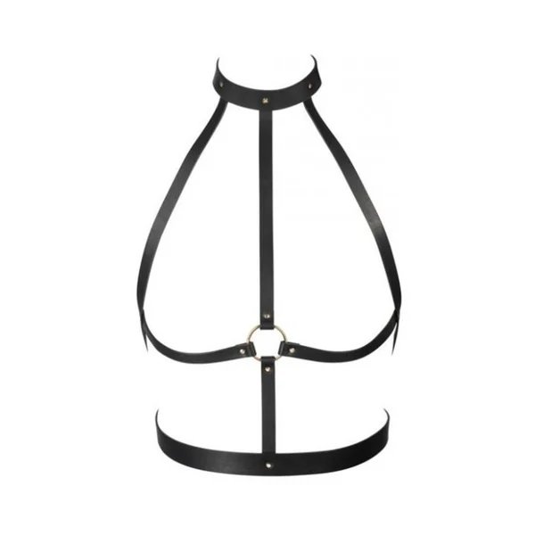 Fetish Clothing: Bijoux Indiscrets Maze H-Harness
