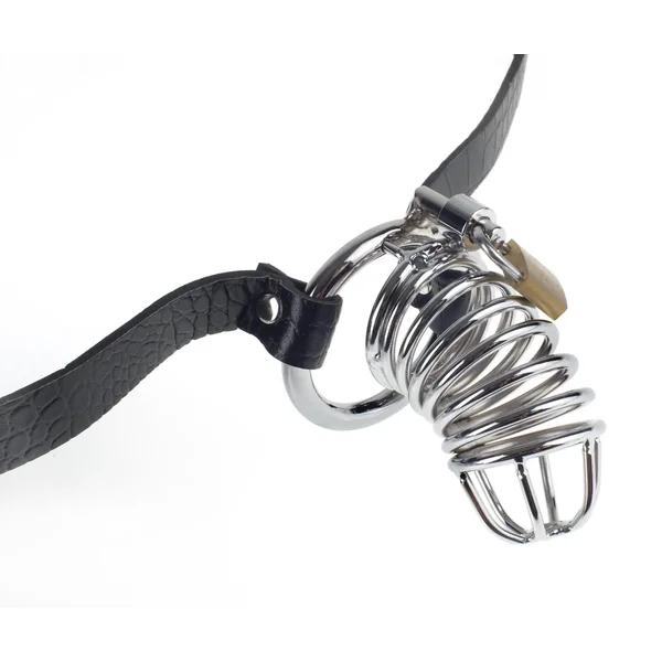 Fetish Fantasy Extreme Chastity Belt