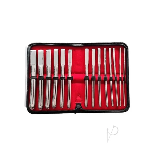 Hegar Uterine Dilator Urethral Sounds Set Steel