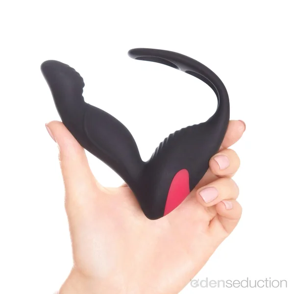 Langer Prostate massager with cock ring