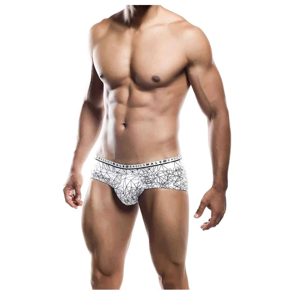 Male Basics - Hipster Brief - Spider Web Pint - MB203SPD