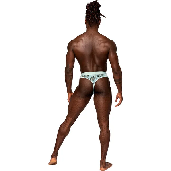 Male Power Sheer Print Flamingo Sheer Thong Small Medium