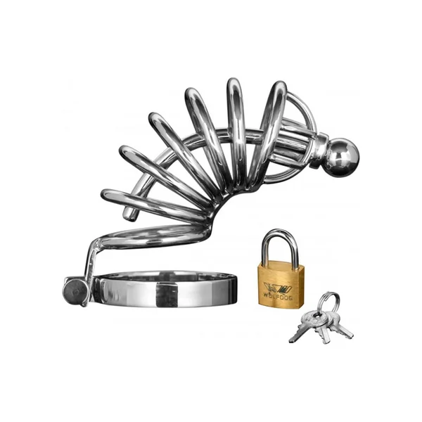 Master Series Asylum 6 Ring Locking Chastity Cage