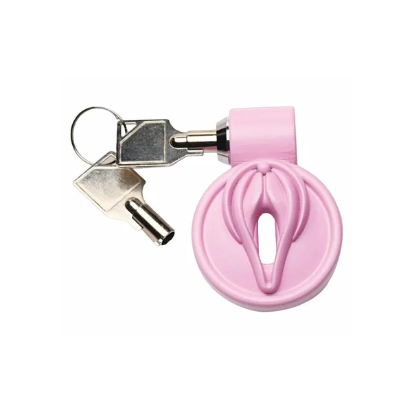 Master Series Pussification Vulva Chastity Cage