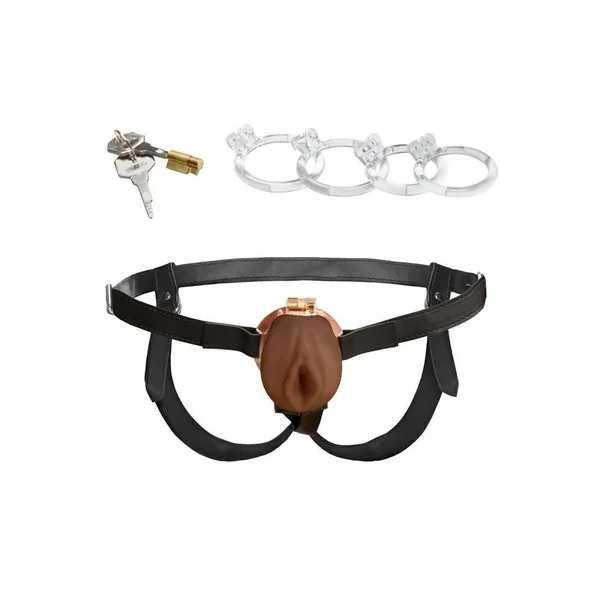 Master Series Pussy Chastity Cage