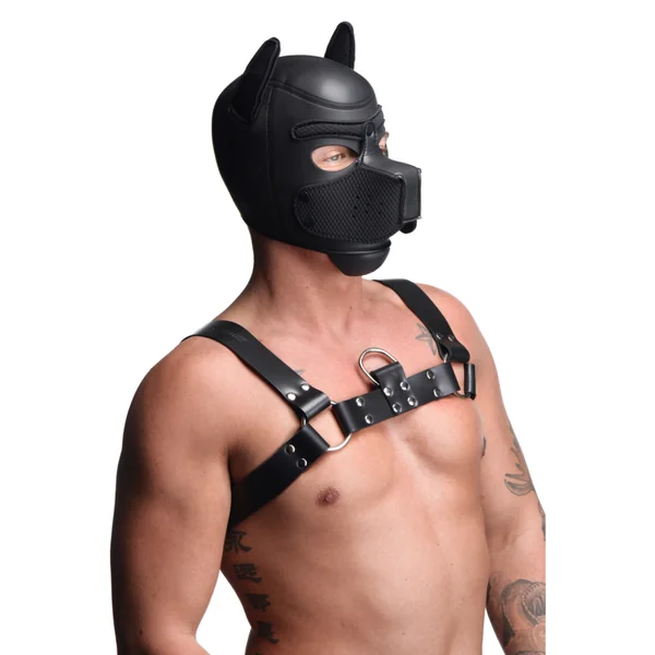 MASTER SERIES SPIKE PUPPY HOOD BLACK