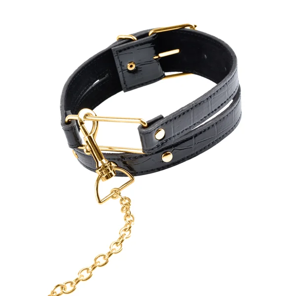 Pipedream Fetish Fantasy Gold Collar & Leash