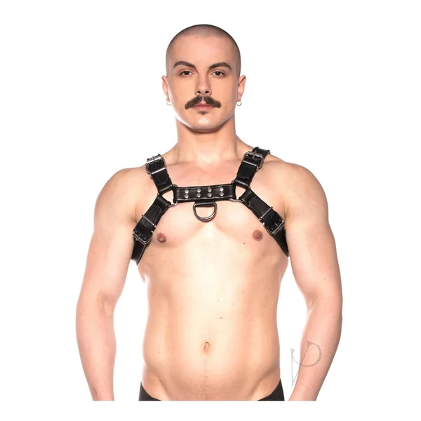 Prowler RED Bull Harness - XXLarge - Black