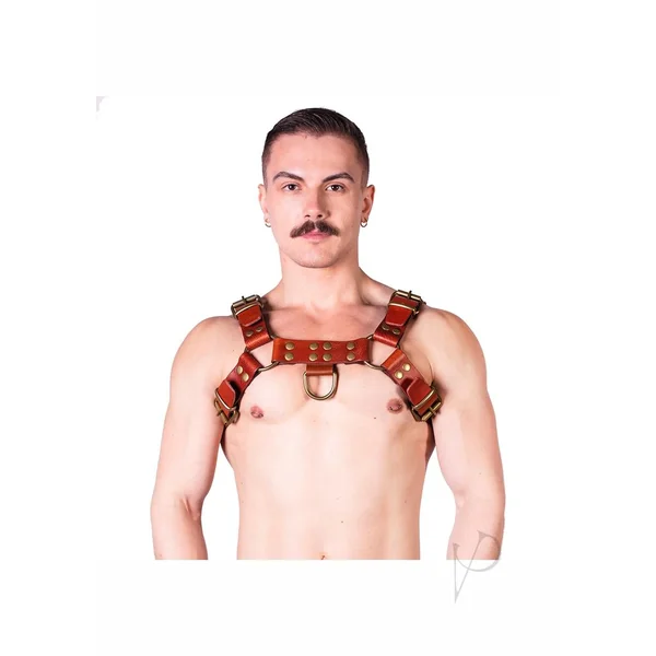 Prowler RED Butch Harness - Medium - Brown/Brass