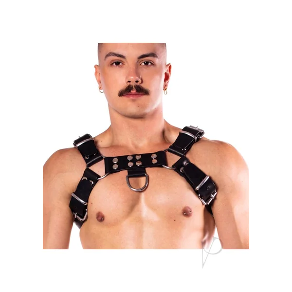 Prowler RED Butch Harness Premium - Medium - Black