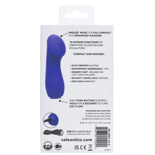 Raven G Pleaser (Purple) – Compact Silicone Mini Massager