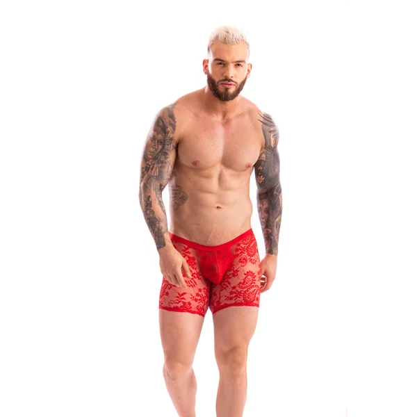 Raymond David Mens Boxer Brief-Lace*