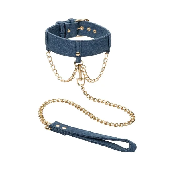 Ride 'Em Premium Denim Collection Collar with Leash
