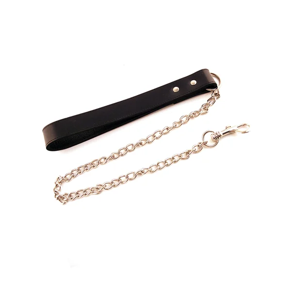 Rouge Leather Dog Lead