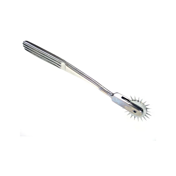 Rouge Stainless Steel Pinwheel 1 Wheel