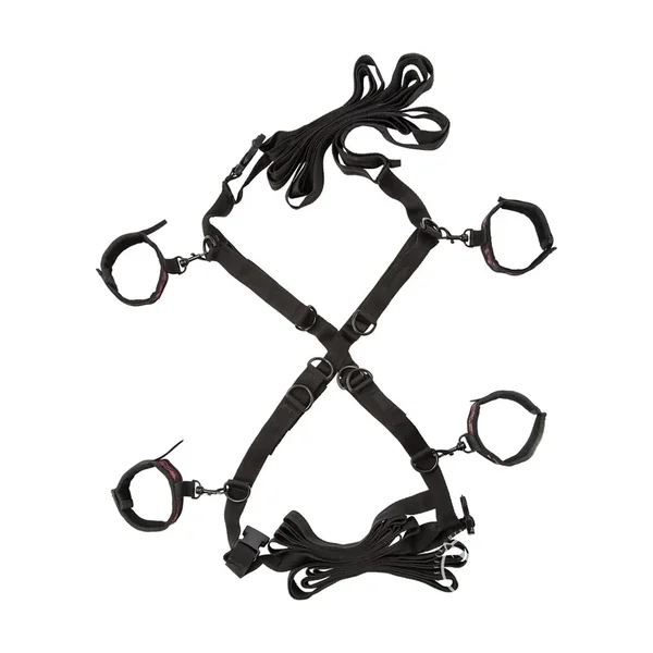 Scandal Over The Bed Cross