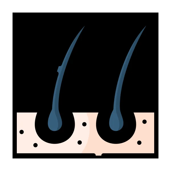 SE Doll Custom Option - Implanted Human Hair