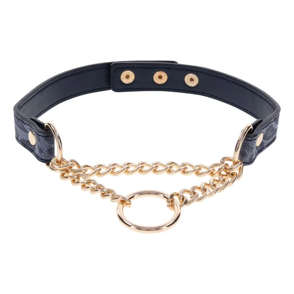 Sex & Mischief Cougar Day Collar Navy and Gold with Chain and Ring Size 38-43 cm