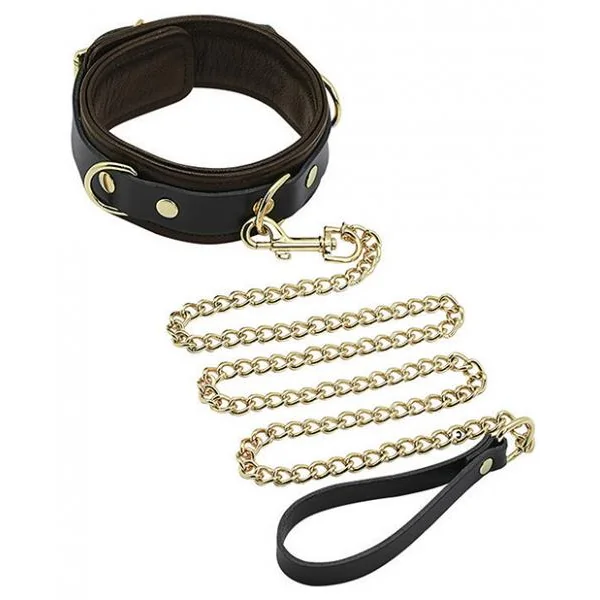Spartacus Collar & Leash Brown Leather Gold Accent Hardware