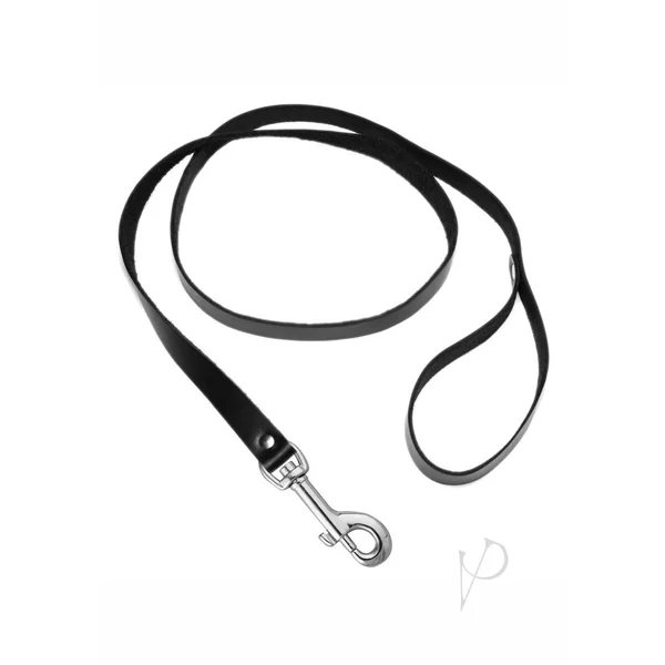 Strict Leather 4 Foot Sex Leash