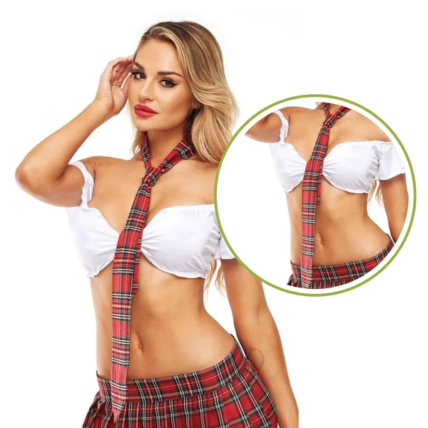 Teacher’s Pet Sexy Accessory Schoolgirl Fashion Necktie with Plaid Design