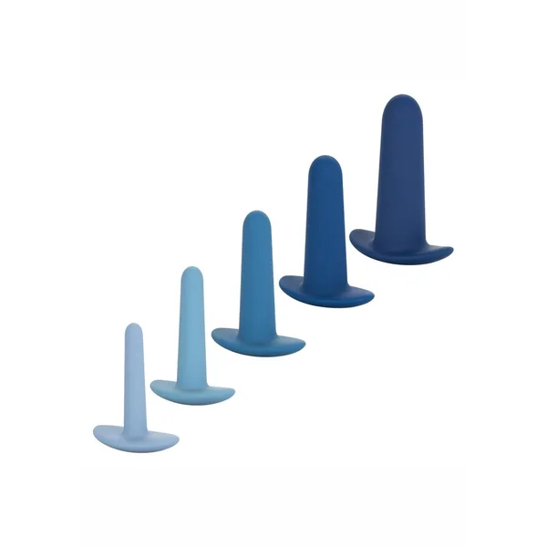 They Ology Wearable Anal Trainer