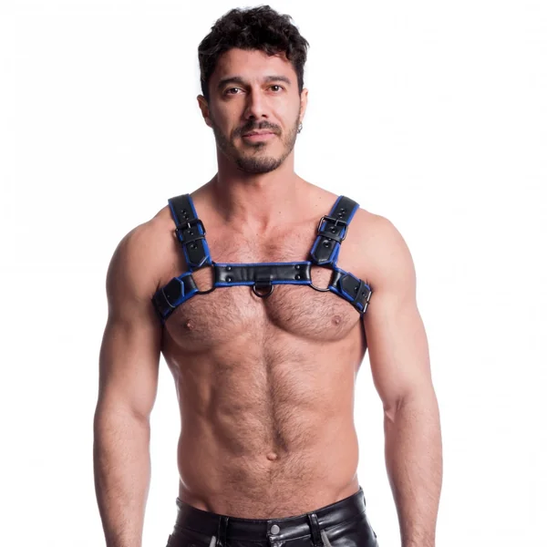 Vegan Bulldog Harness Black and Blue