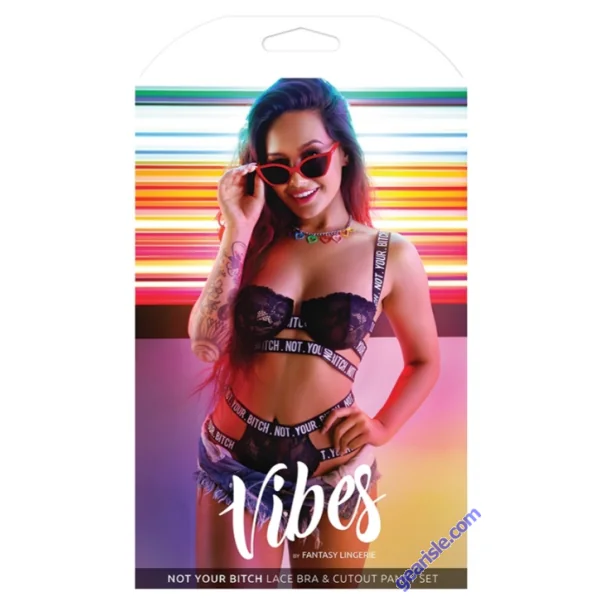 Vibes Fantasy Lingerie Not Your Bitch Cage Bra Cutout Panty Set Black