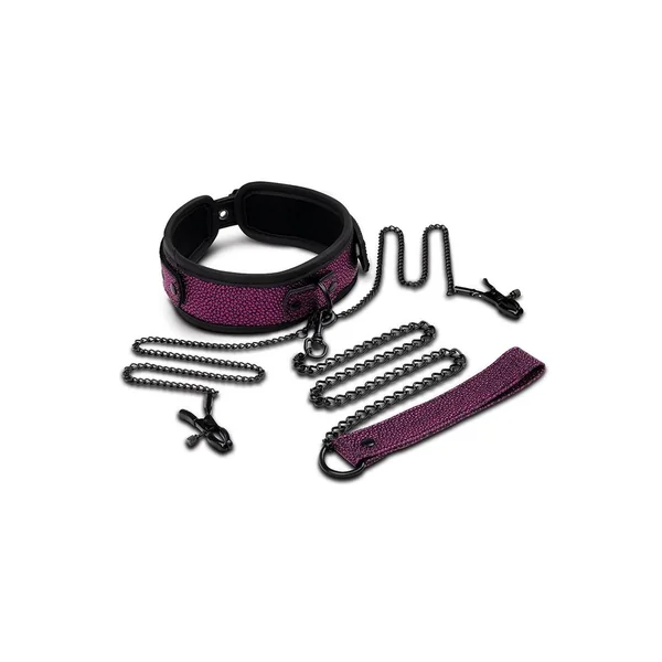 WhipSmart Dragon`s Lair Collar, Leash and Nipple Clips Set – Black/Purple