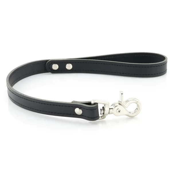 XBLISS Leather Training Lead