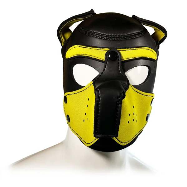 YELLOW AND BLACK DOG HOOD L
